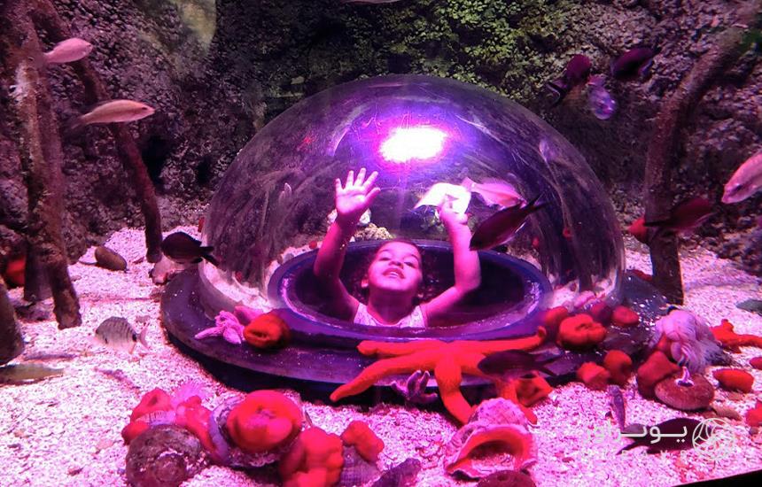 Sea Life Aquarium In Istanbul